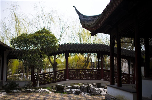小飞虹